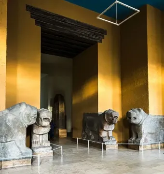 Four Sam\'al lion sculptures displayed on pedestals in a museum gallery.