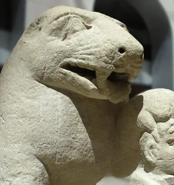Close-up of the Bear of Porcuna stone sculpture, showing a carved animal head beside a smaller human head.