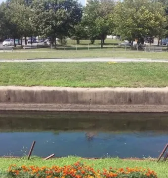 The upper portion of the Trenton Battle Monument rises above trees beyond a narrow waterway, with marigolds in the foreground.