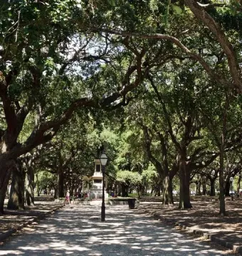 A monument stands at the end of a dirt path beneath large live oak trees in a shaded park.