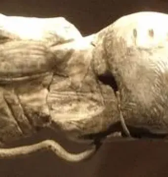 Ancient carving of two reindeer in a swimming pose against a dark background.