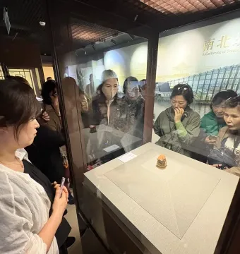 Meat-Shaped Stone displayed on a pedestal inside a glass case with museum visitors nearby.