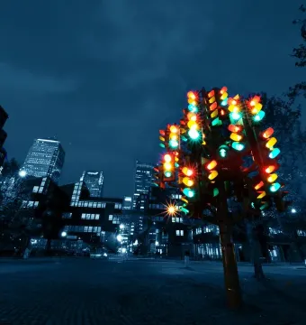 Traffic Light Tree sculpture glowing with red, green, and amber lights at night
