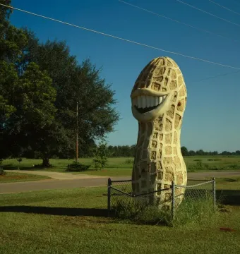 Jimmy Carter Peanut Statue shaped like a large smiling peanut on a grassy lawn behind a wire fence.