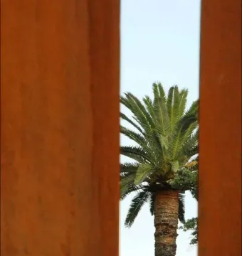 Two rusted metal columns frame a palm tree beneath the Neuf Lignes Obliques sculpture.