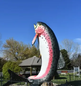 The Big Trout sculpture with a dark grey back, white underside, and pink speckled stripe, set in a fenced area with trees and a gazebo.