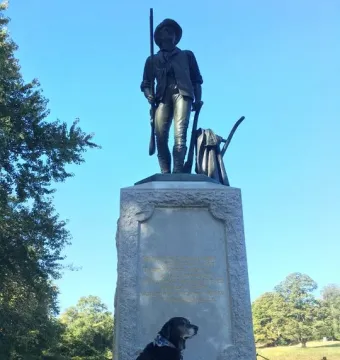 The Minute Man bronze statue stands on a stone monument with a musket, plow, and coat at the base, while a black dog sits nearby.
