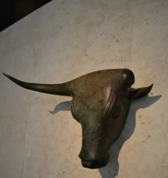 Bronze bull\'s head from the Toros de Costitx mounted on a textured wall, with a curved horn and dark eye socket visible.