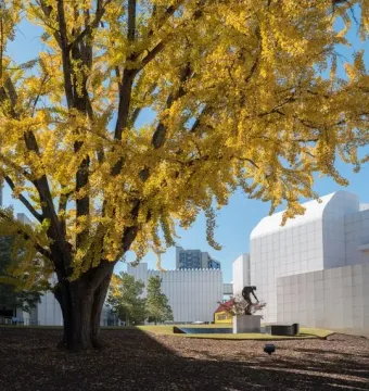 The Shade, a bronze-colored hunched male sculpture on a pedestal outdoors with modern white buildings in the background.
