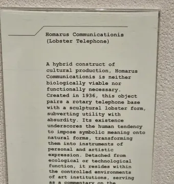 White information plaque for Lobster Telephone in a clear protective cover