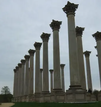 Capitol Columns standing in rows on a grassy lawn with a winding path and trees under a cloudy sky.