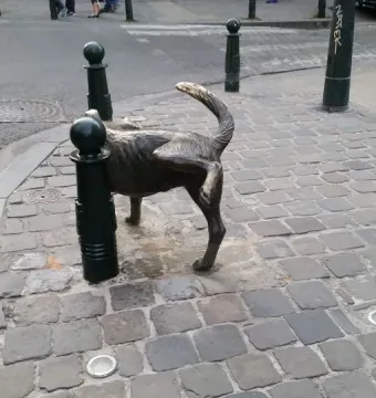 Het Zinneke bronze dog sculpture lifting a rear leg beside a green bollard on a cobblestone sidewalk.
