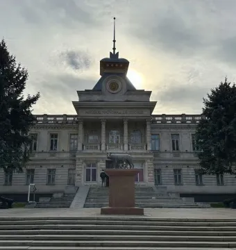 Capitoline Wolf sculpture on a stone pedestal in front of a grand building with steps and evergreen trees.
