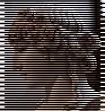 Severely pixelated view of the Antinous Mondragone sculpted head, with curly hair and facial features visible.