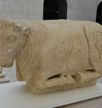 Stone sculpture of the Bull of Osuna shown reclining on a white plinth.