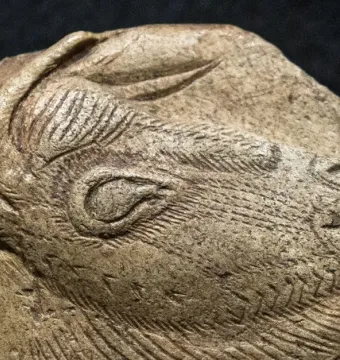 Carved bison head in profile with an extended tongue reaching toward its neck.