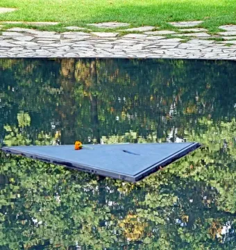 Memorial to the Murdered Sinti and Roma of Europe with a triangular floating platform and orange flower in a reflecting pool.