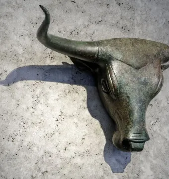 Toros de Costitx bronze bull head with a green patina mounted on a stone wall