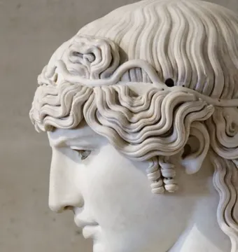 Left-side profile of the Antinous Mondragone marble head with wavy hair and a calm expression.