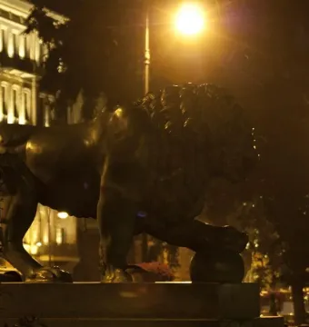 Lion sculpture at the Dvortsovaya Pier lit by streetlights at night.