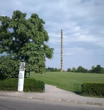 The Endless Column standing in a grassy park beside a paved road, with a tree partially obscuring the left side.