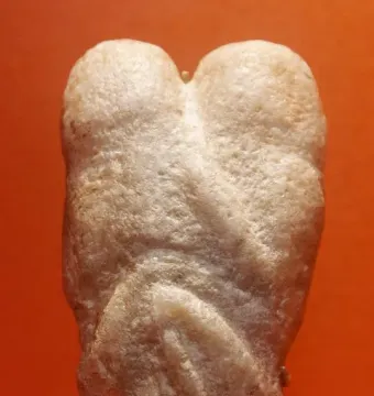 Ain Sakhri Lovers stone figurine with intertwined rounded forms against an orange background