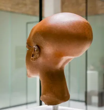 Side view of a reddish-brown stone head of a princess with a long, elongated cranium and visible ear and nose.