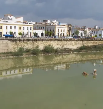 Hombre Río sculpture partially submerged in murky water with stone embankment and buildings in the background.