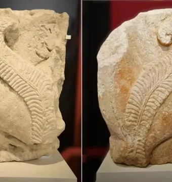 The El Salobral Sphinxes shown as two weathered stone carvings on white pedestals.