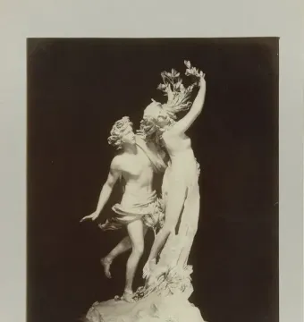 Bernini\'s Apollo and Daphne sculpture showing Apollo reaching toward Daphne as she transforms into a laurel tree.