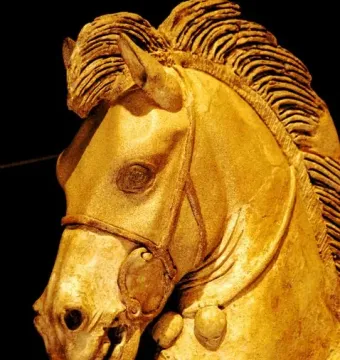 Close-up of the Winged Horses of Tarquinia showing a horse head with ornate bridle and detailed mane.