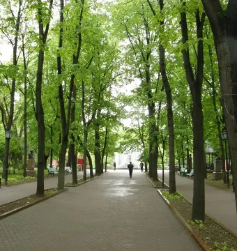 The Alley of Classics lined with bust pedestals along a tree-shaded park walkway.