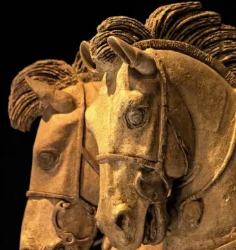 Close-up of two sculpted horse heads from the Winged Horses of Tarquinia, shown in profile with bridles and stylized manes.