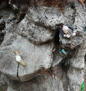 Detail of the Elfin Oak showing colorful elf and gnome figures on its cracked bark.