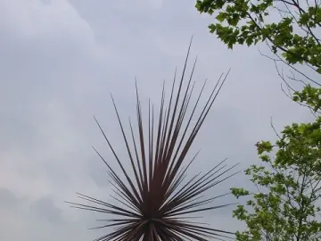 B of the Bang, a rusty-red starburst sculpture with long spikes radiating outward in a paved plaza.