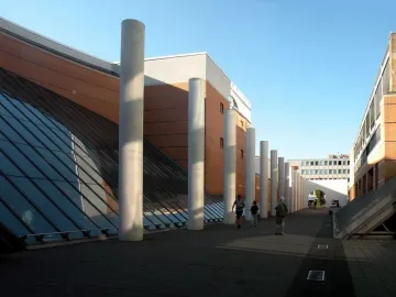 Way of Human Rights pillars lining a paved walkway beside modern buildings, with people strolling in sunlight.