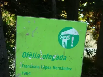 Weathered green information sign for Ofèlia ofegada by Francisco López Hernández, mounted on a concrete base outdoors.