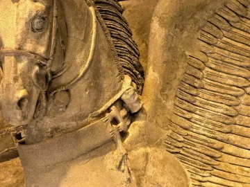 Close-up of the Winged Horses of Tarquinia showing a horse’s head with bridle and a feathered wing.