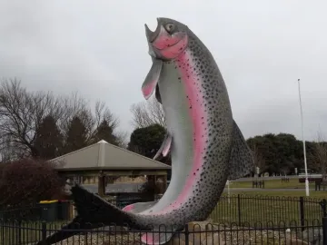The Big Trout sculpture, a large brightly painted fish with a pink stripe, rises from rocks inside a black fence in a park.
