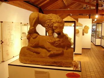 Corbridge Lion sculpture displayed on a white pedestal in a museum gallery