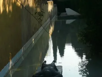 Ophelia Drowned reclining on a platform in a shallow canal beside greenery and a sunlit wall.