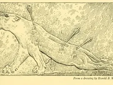 Relief of a wounded lioness from the Lion Hunt of Ashurbanipal, shown with arrows in its body and mouth open in pain.
