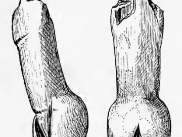 Black and white drawing of the Immodest Venus figurine shown from two angles, with a headless, armless body, flat upper torso, prominent buttocks, and tapered legs.
