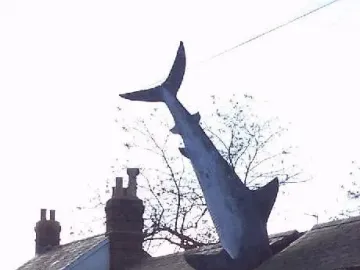 The Headington Shark sculpture impaled tail-first into the roof of a brick house.