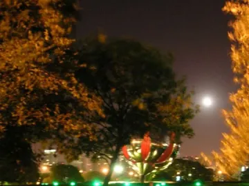 Floralis Genérica partially visible behind trees at night, with a moon overhead and city lights in the distance.