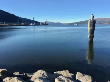 Havmannen sculpture seen from behind in calm water with a bird perched on its head and a clear reflection below.