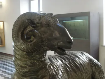 Close-up of a bronze ram sculpture with tightly coiled horns and textured fleece in a museum gallery.