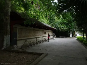 Huangze Monastery rock sculptures along a stone wall beside a tree-lined pathway