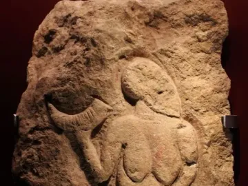Venus of Laussel stone relief of a nude female figure holding a crescent-shaped object.