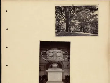 The Warwick Vase, a large ornate urn with two handles, standing on a pedestal before an arched backdrop.
